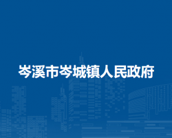 岑溪市岑城镇人民政府