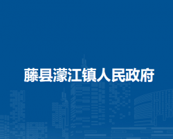 藤县濛江镇人民政府