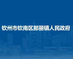 钦州市钦南区那丽镇人民政府