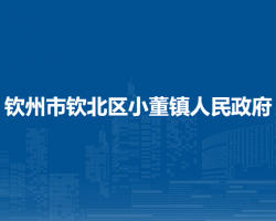 钦州市钦北区小董镇人民政府