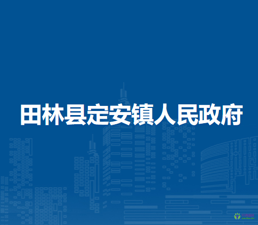 田林县定安镇人民政府