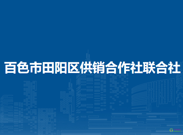 百色市田阳区供销合作社联合社