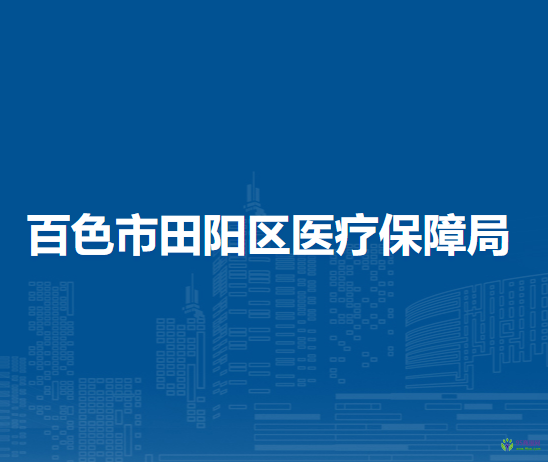 百色市田阳区医疗保障局