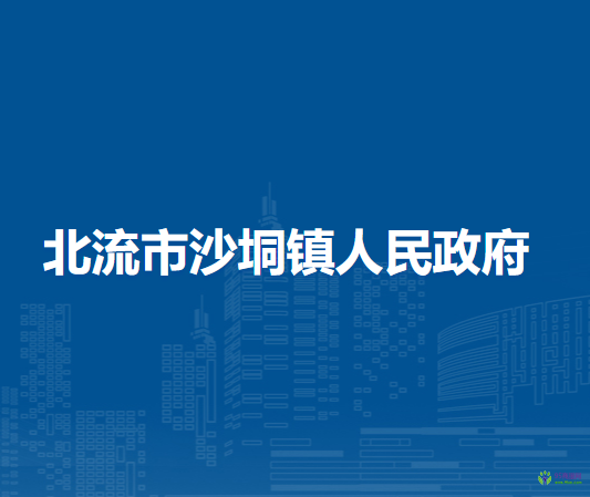 北流市沙垌镇人民政府