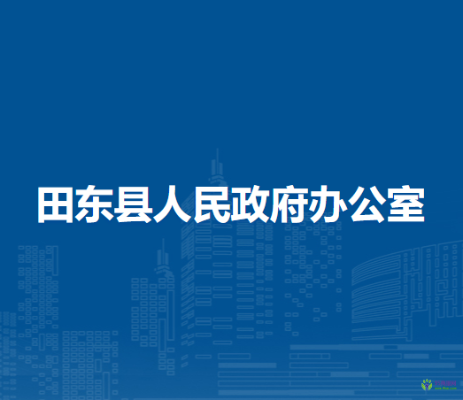 田东县人民政府办公室