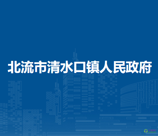 北流市清水口镇人民政府