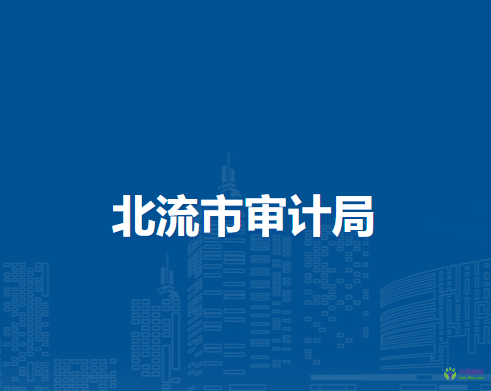 北流市审计局