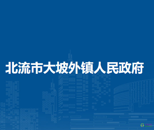 北流市大坡外镇人民政府