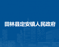 田林县定安镇人民政府