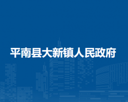 平南县大新镇人民政府