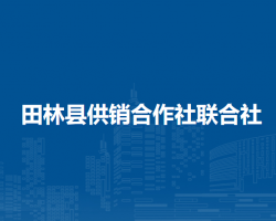 田林县供销合作社联合社