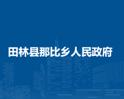 田林县那比乡人民政府