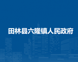 田林县六隆镇人民政府