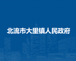 北流市大里镇人民政府