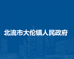 北流市大伦镇人民政府