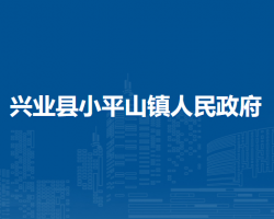 兴业县小平山镇人民政府