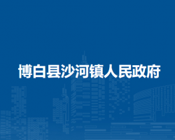 博白县沙河镇人民政府