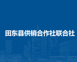 田东县供销合作社联合社