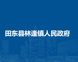 田东县林逢镇人民政府