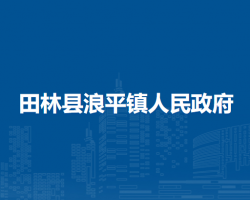 田林县浪平镇人民政府