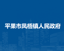 平果市凤梧镇人民政府