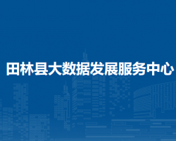 田林县大数据发展服务中心