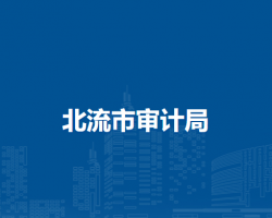 北流市审计局