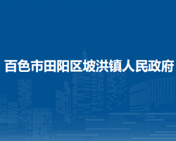 百色市田阳区坡洪镇人民政府