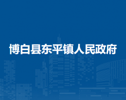 博白县东平镇人民政府