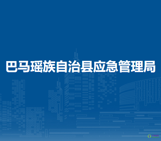 巴马瑶族自治县应急管理局