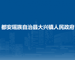 都安瑶族自治县大兴镇人民政府