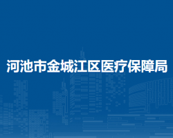 河池市金城江区医疗保障局