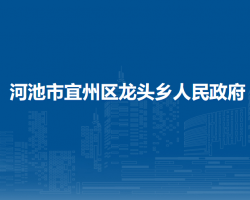 河池市宜州区龙头乡人民政府