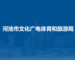 河池市文化广电体育和旅游局