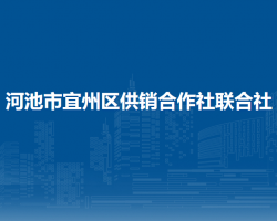 河池市宜州区供销合作社联合社