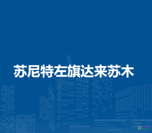 苏尼特左旗达来苏木人民政府